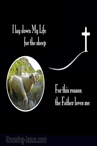 John 10:17 I Lay Down My Life For The Sheep (black)